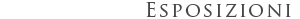 esposizioni